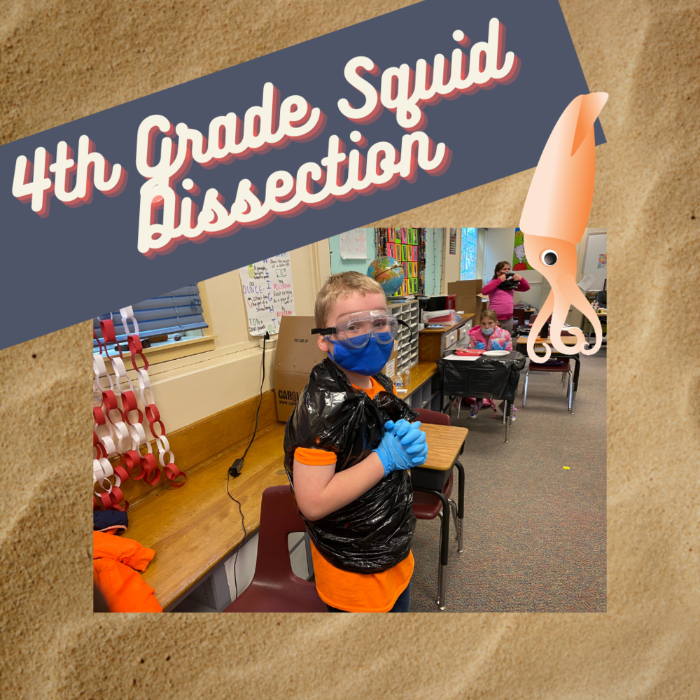 Dissection